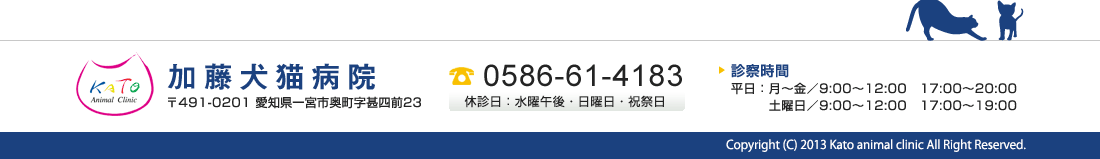 加藤犬猫病院　tel.0586-61-4183　愛知県一宮市奥町字坩甚四23