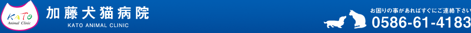加藤犬猫病院
