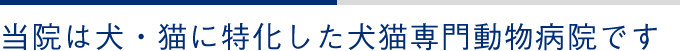 当院は犬・猫に特化した犬猫専門動物病院です